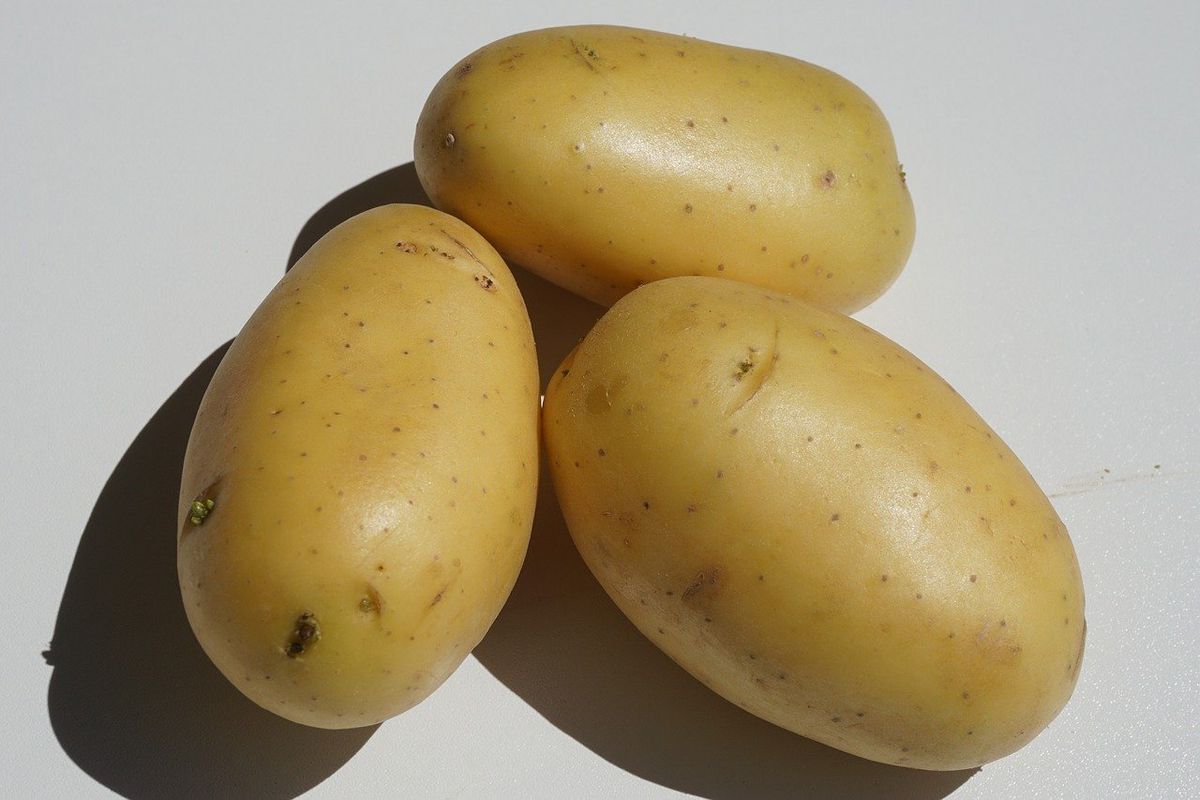Як застосувати картоплю в господарстві і замінити нею дорогі засоби. Розв'язання побутових проблем за допомогою картоплі.