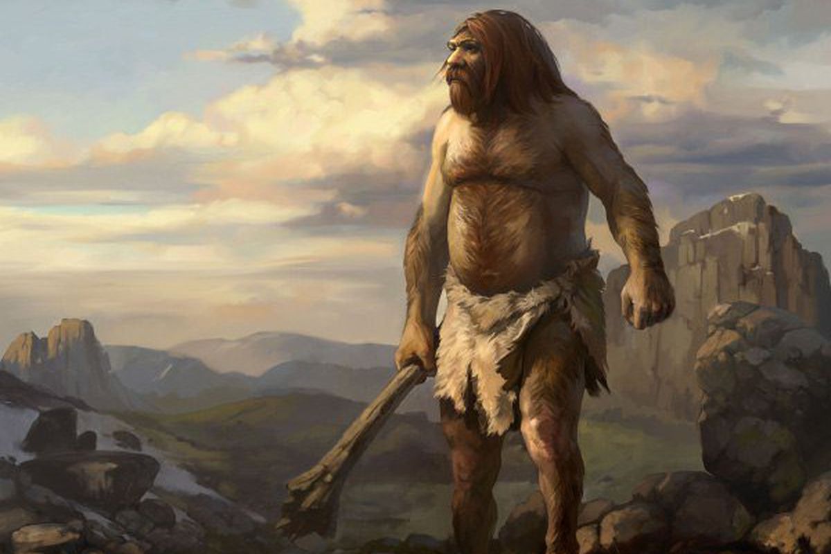Знаряддя праці неандертальців відрізнялися різноманітністю і складністю виготовлення. До такого висновку дійшли вчені.
