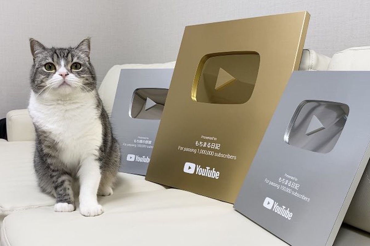 Найпопулярніший "ютубер": кіт з Японії потрапив в Книгу рекордів Гіннеса. Ролики вихованця збирають по півтора мільйона переглядів в мережі.