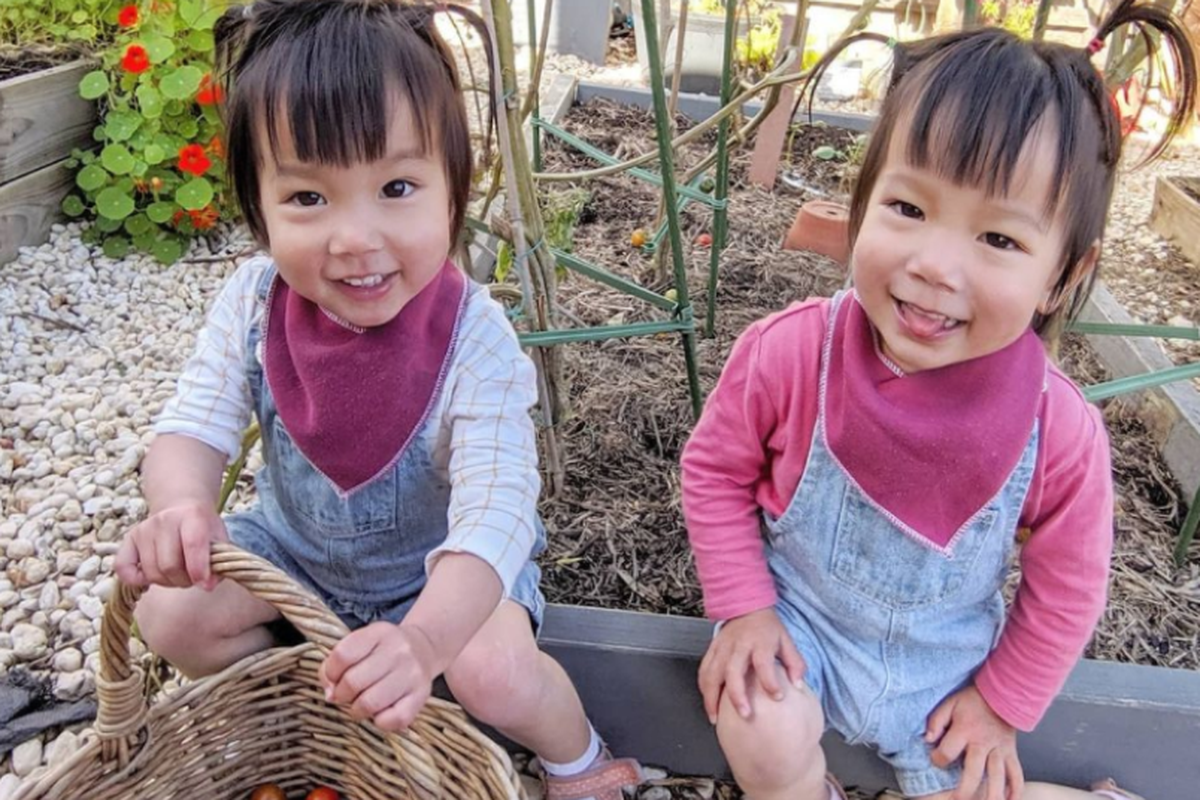 Дворічні дівчатка-близнючки обожнюють працювати в городі, допомагаючи мамі займатися садівництвом. Миле відео про маленьких помічниць.