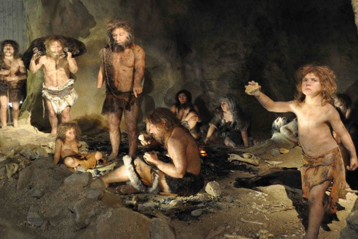 Іспанські вчені провели експеримент, як неандертальці полювали на птахів в печерах. Виявилося, що найлегше птахів ловити вночі.