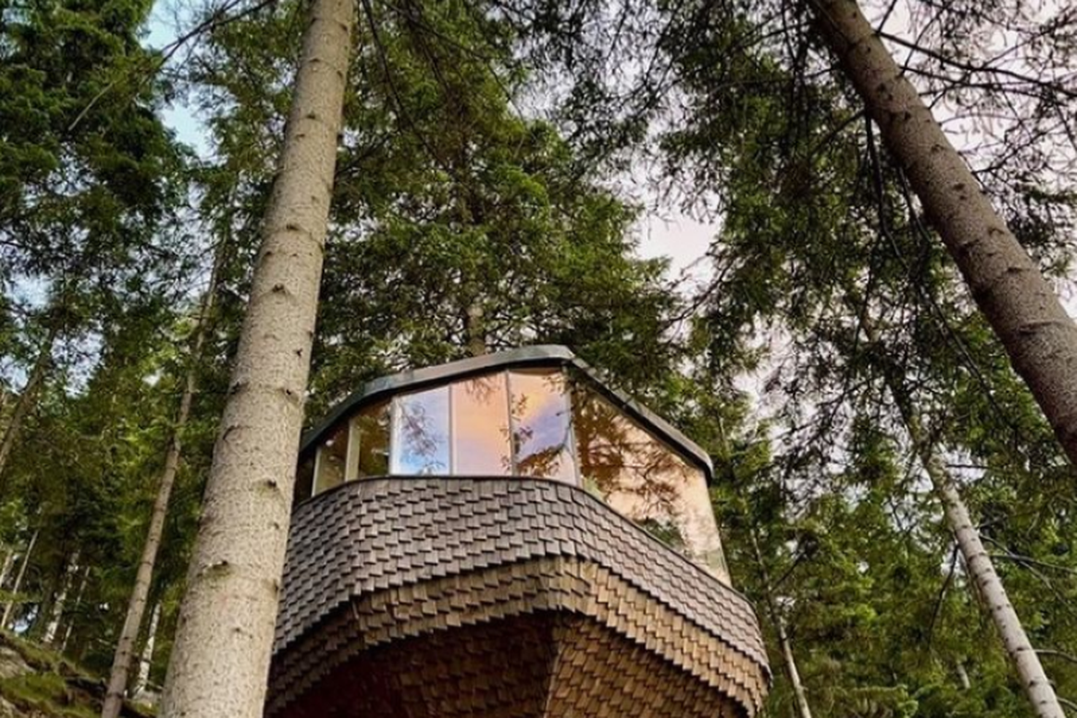 На березі норвезького фіорду побудували готель на деревах. Стовбури гігантських ялин проходять прямо крізь номери.