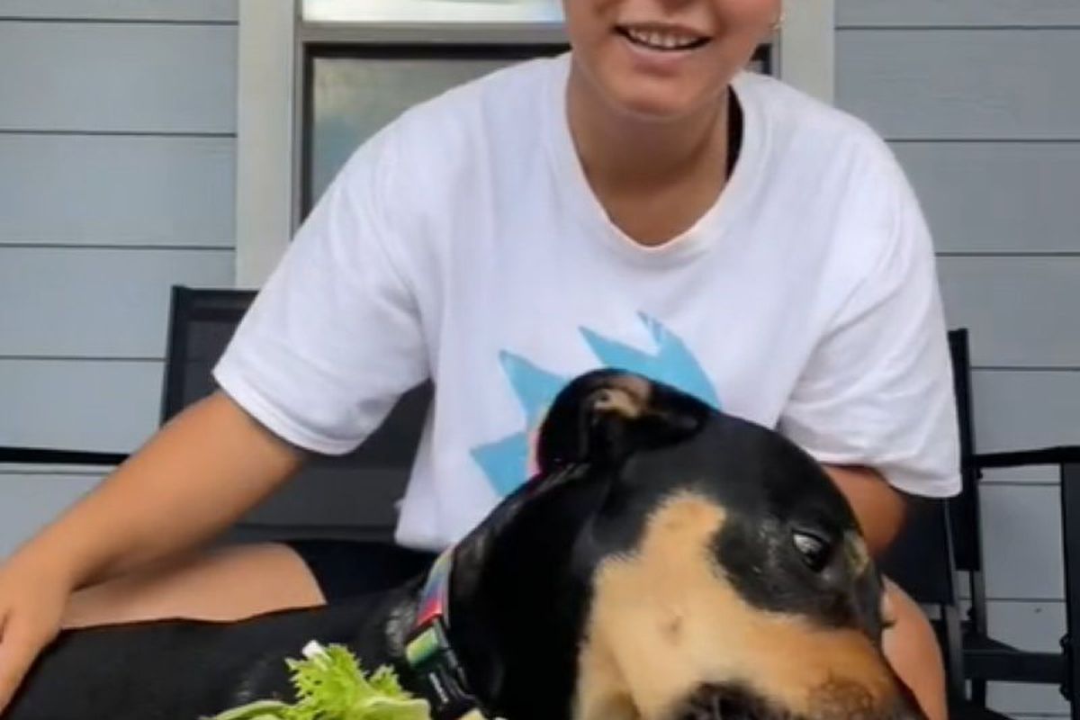 Дівчина потрапила в конфуз, вирішивши, що її собака – вегетаріанка. Відео стало вірусним в мережі.