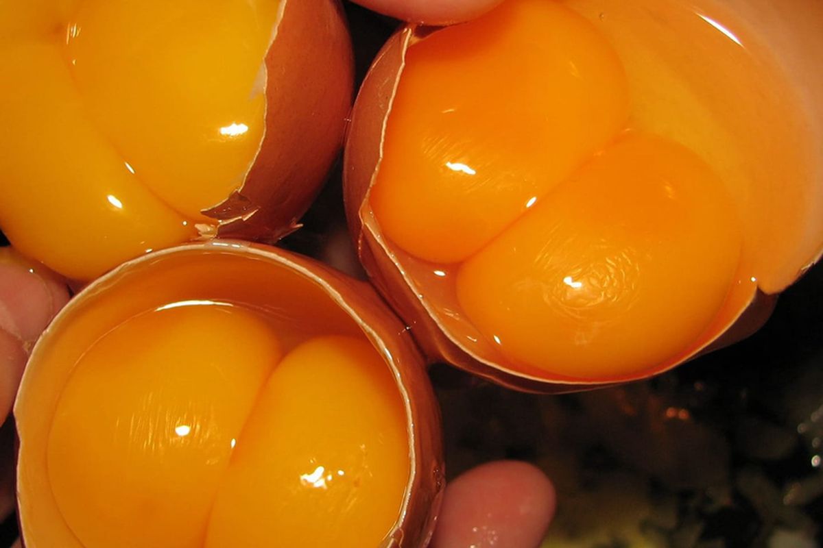 Два жовтки в яйці: про що говорить дана прикмета. Що потрібно зробити, щоб не злякати удачу.