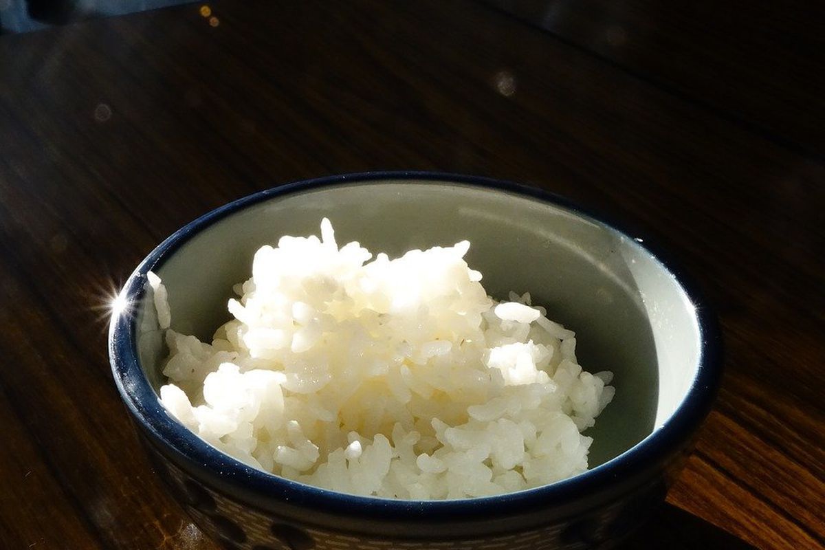 Які реальні терміни і правила зберігання вареного рису. Як довго варений рис зберігається в холодильнику.