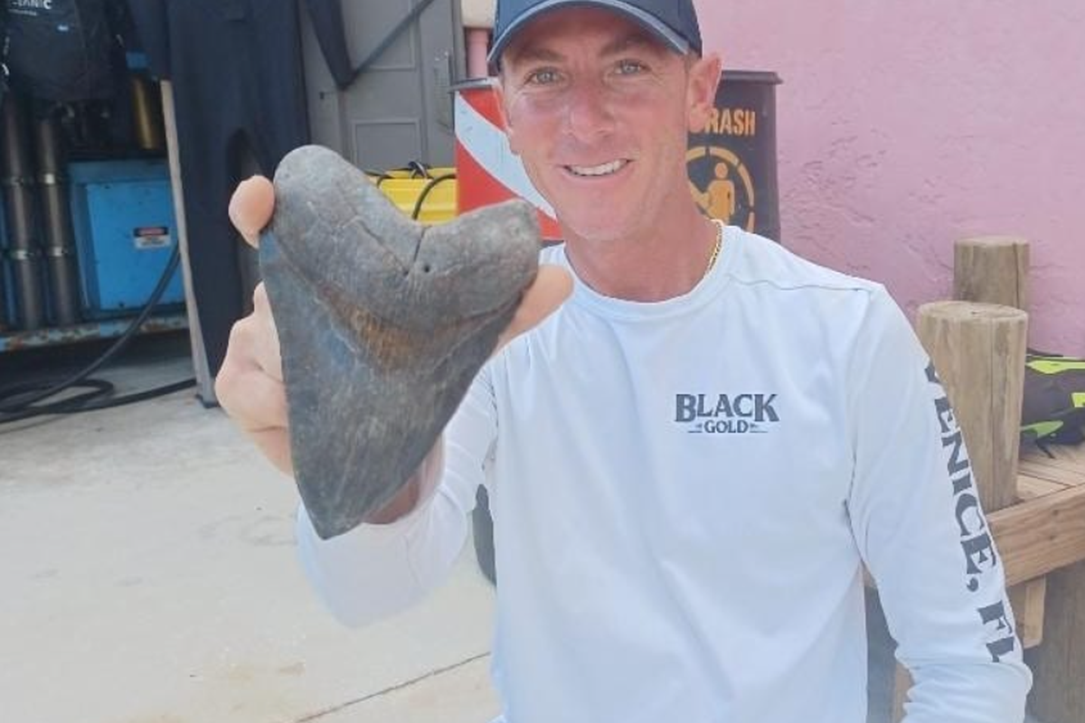 Дайвер зробив унікальну знахідку, виявивши на дні океану зуб доісторичної акули. Незвичайна скам'янілість належить професійному шукачеві Майклу Настасіо.