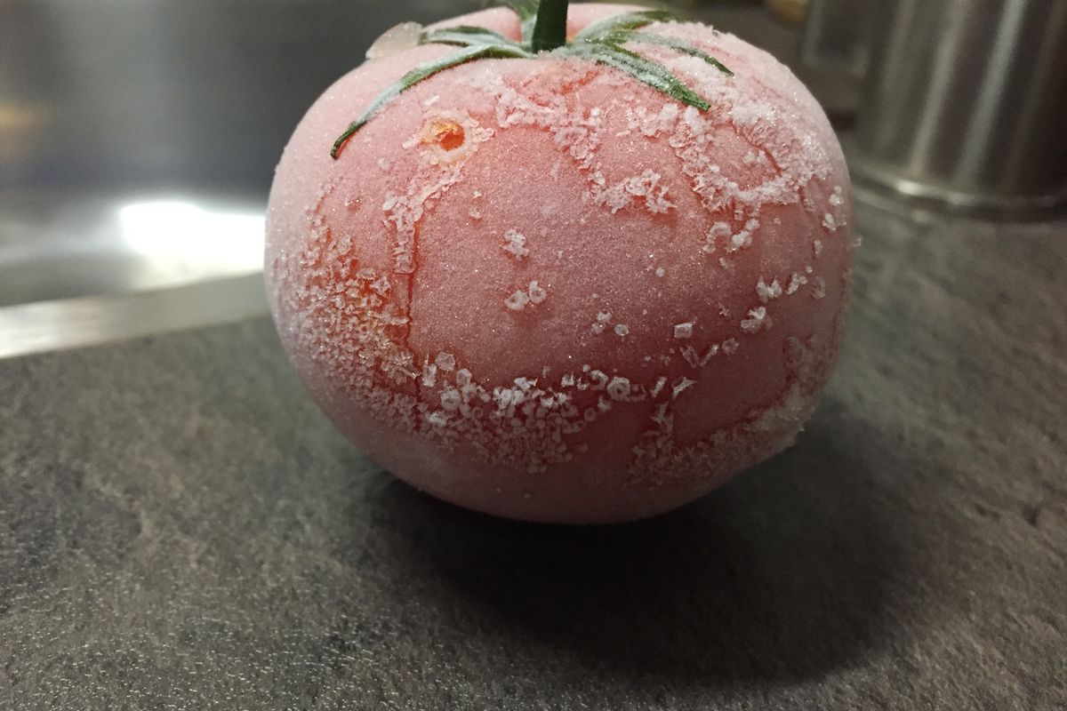 Корисні поради щодо правильної заморозки томатів. Заморозка томатів має певні особливості.