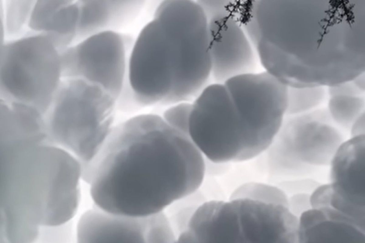 Чарівне явище в небі вдалося записати на відео мешканцю Аргентини. Очевидець зняв незвичайні хмари, схожі на гігантські клубки вати.