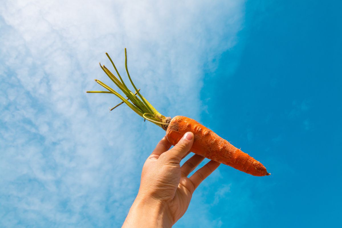Кілька випадків, у яких вживання моркви може бути шкідливим. Не завжди морква приносить лише користь.