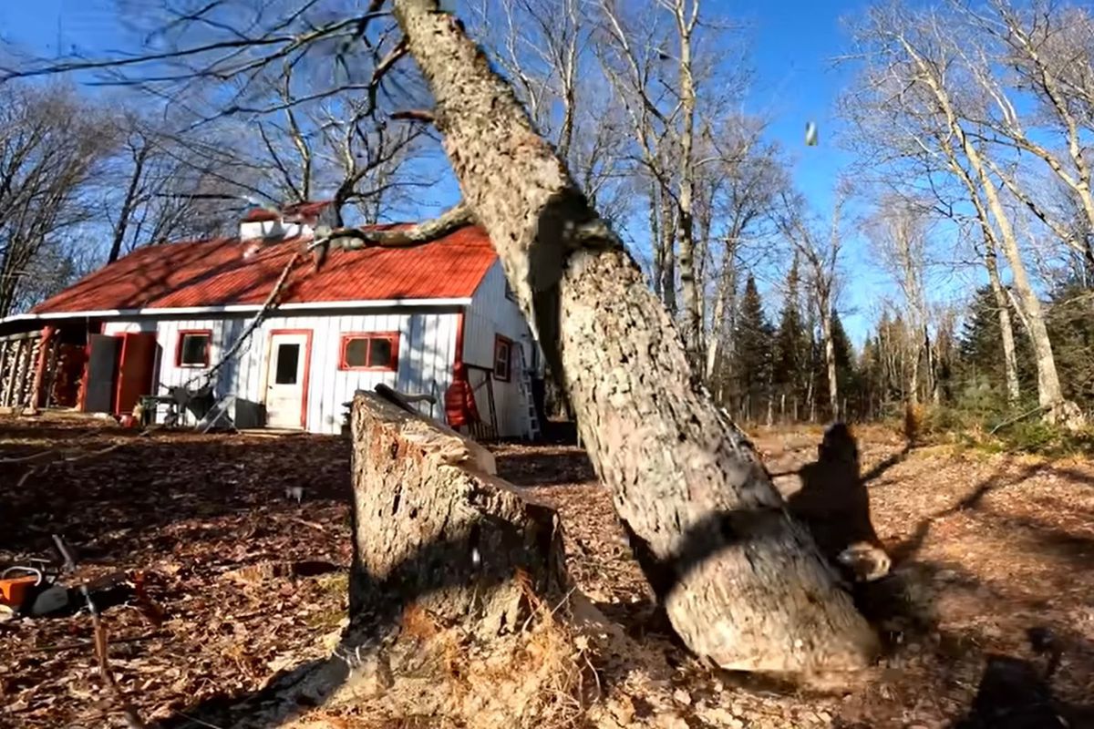 Неправильні розрахунки чоловіка при повалені дерева, мало не зруйнували будинок. Дерево впало не в той бік.