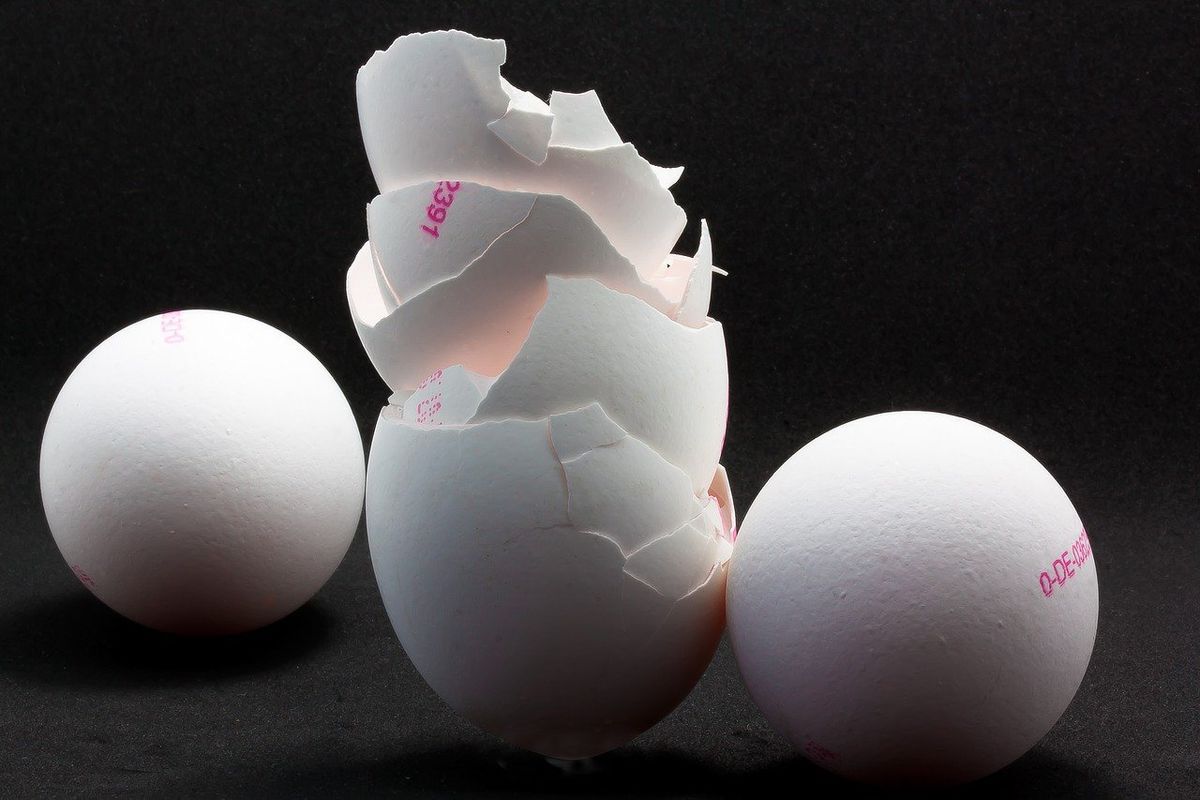 Яєчна шкаралупа — відмінний дренаж та джерело кальцію для домашніх квітів. Як правильно використовувати.