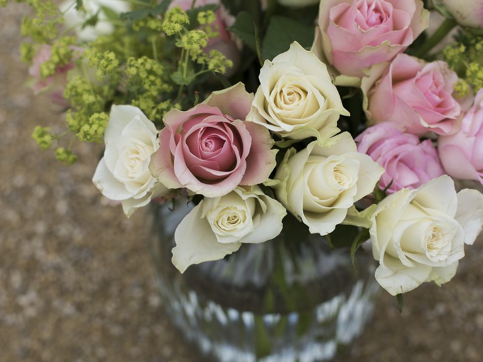 Корисні поради щодо більш тривалого збереження троянд у вазі за домашніх умов. Букет квітів можна зберегти свіжим за допомогою певних засобів.