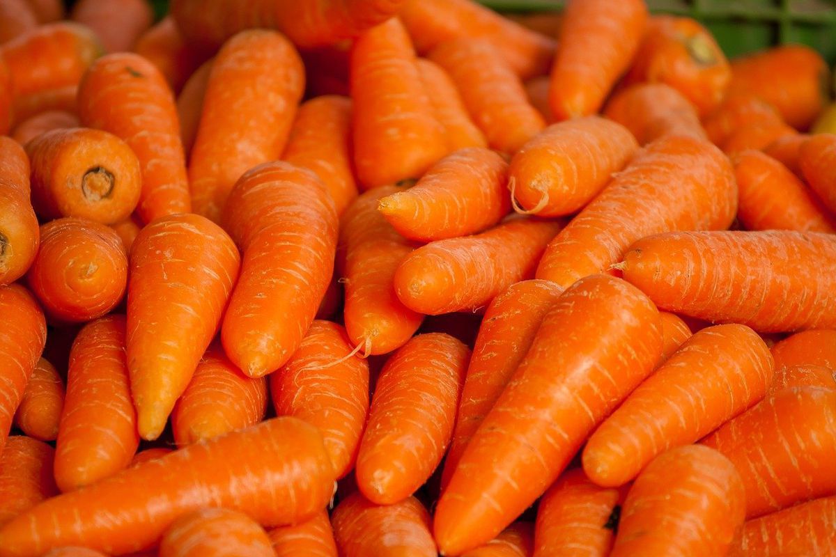 Як хитрі господині відварюють моркву для вінегрету або олів'є. Салати будуть у сто разів смачнішими.