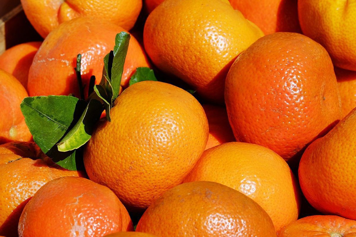 Фахівці назвали найціннішу ознаку солодких і якісних мандаринів. Як правильно вибрати свіжі фрукти.