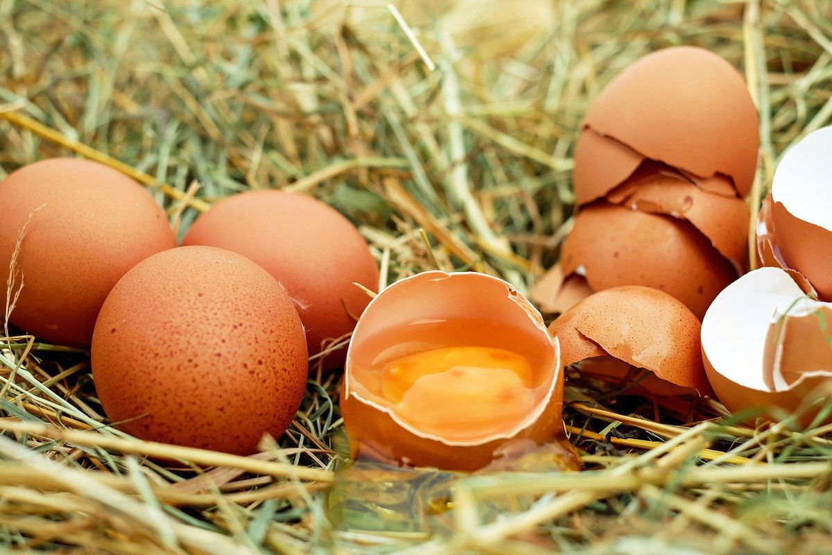 Чи корисні домашні яйця — експерти розвінчали міф. Багато людей абсолютно даремно віддавали їм перевагу.