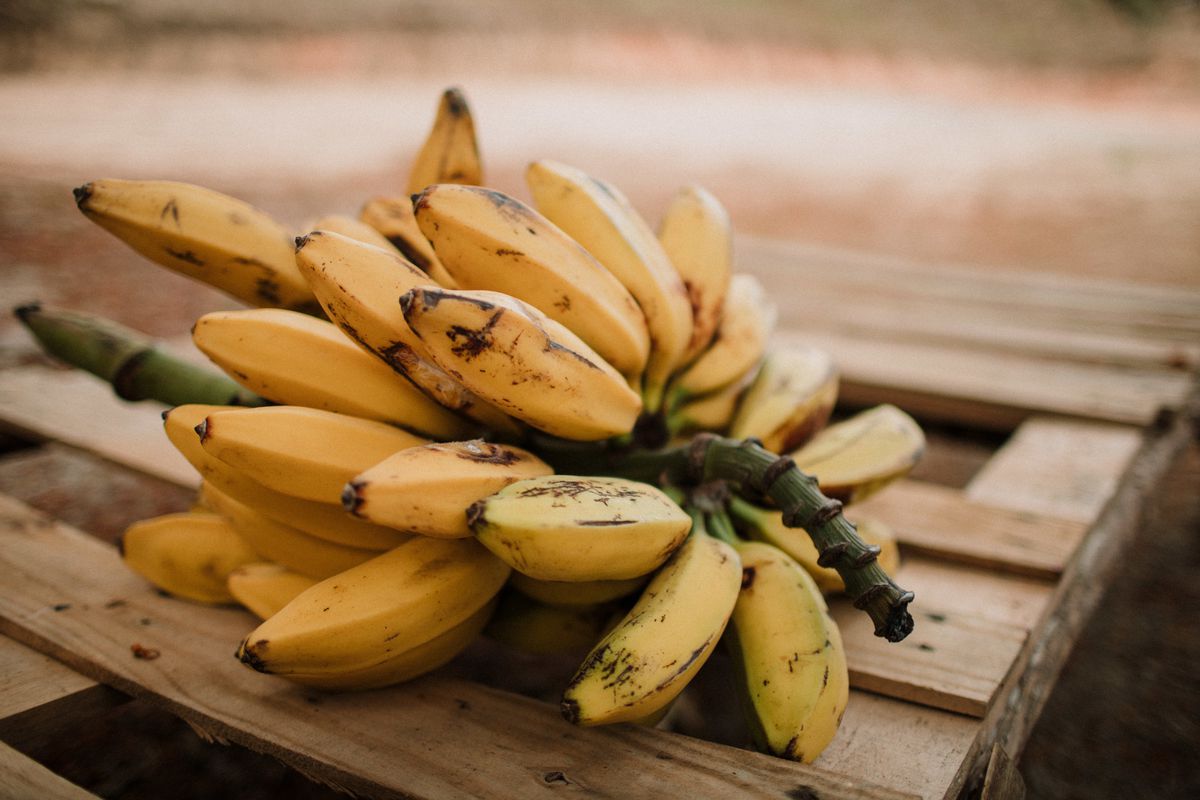 Косметологи розповіли про користь бананів для обличчя та волосся. Фахівці радять звернути увагу на косметичні властивості банана.