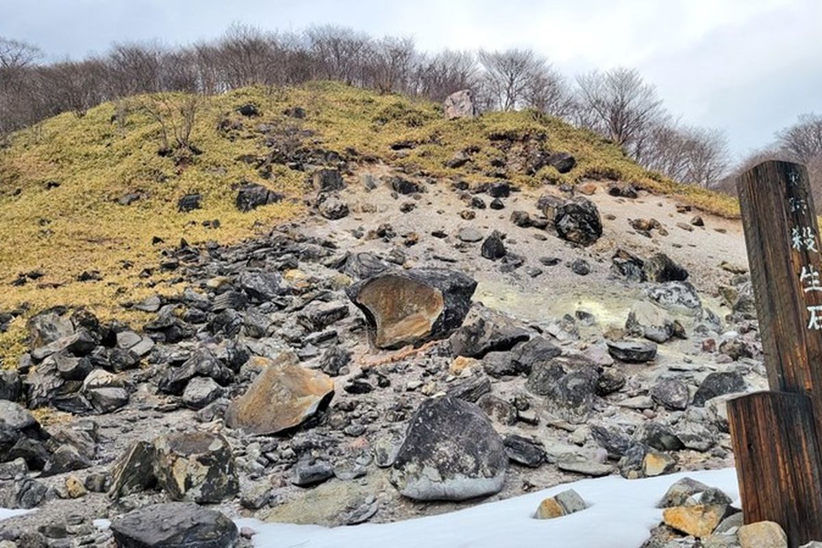 В Японії тріснув міфічний "камінь смерті" — японці вірять, що почало збуватися пророцтво. В Японії надвоє розкололася знаменита вулканічна порода, відома під назвою "камінь смерті".
