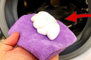Як за допомогою невеликої порції піни для гоління очистити пральну машину та прибрати всі неприємні запахи