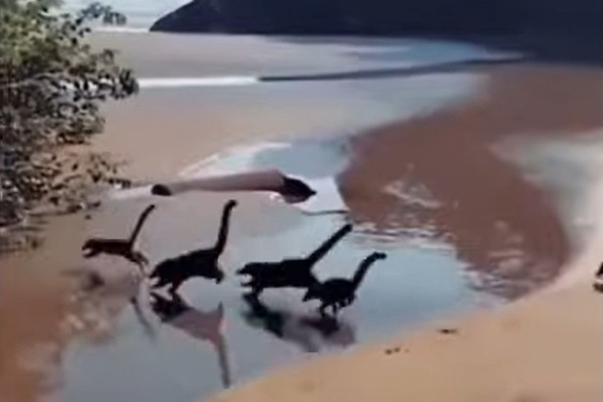 Відео, на якому показані «крихітні динозаври», що мчать уздовж пляжу, збентежило Інтернет. Насправді все виявилося забавною ілюзією.