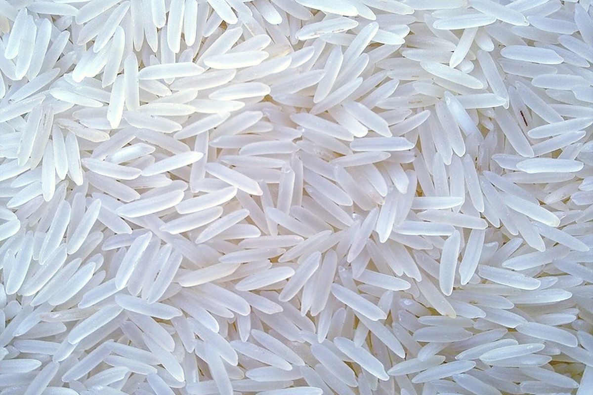 Загальні відмінності жасминового рису від басматі. У чому різниця між басматі і жасминовим рисом.