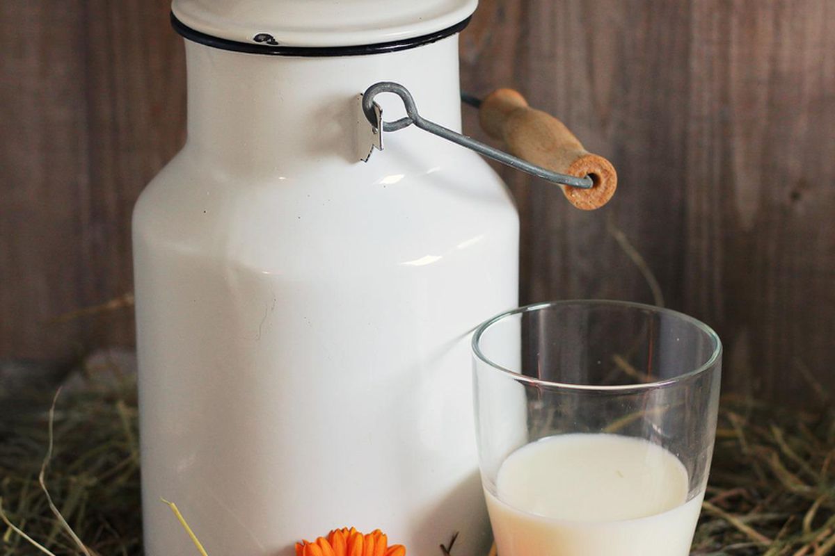 Сільський лайфхак, який допоможе молоку довше залишатися свіжим. Що потрібно додати в молоко для тривалого зберігання.
