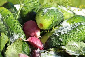 Малосольні або квашені огірки можуть бути корисніше свіжих