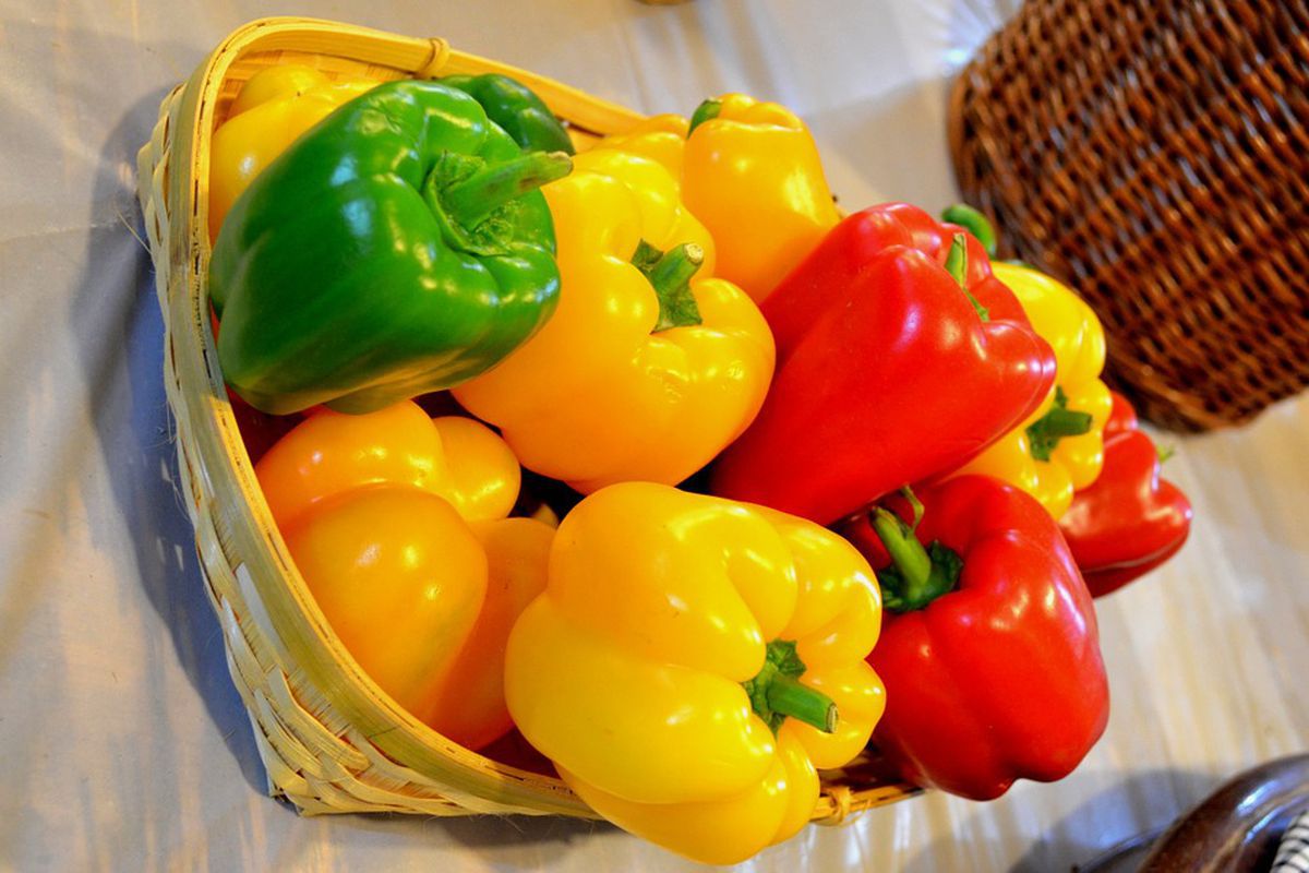 Якого кольору болгарський перець містить більше поживних речовин. Червоний, жовтий чи зелений — який перець найкорисніший.