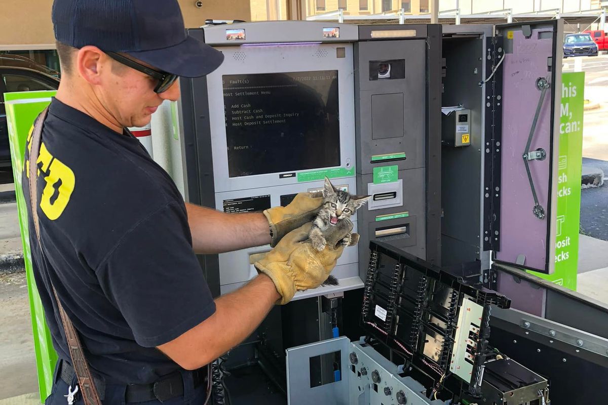 Наймиліше зняття "готівки": пожежники врятували кошеня, яке застрягло в банкоматі. Не щодня банкомат починає нявкати на вас.