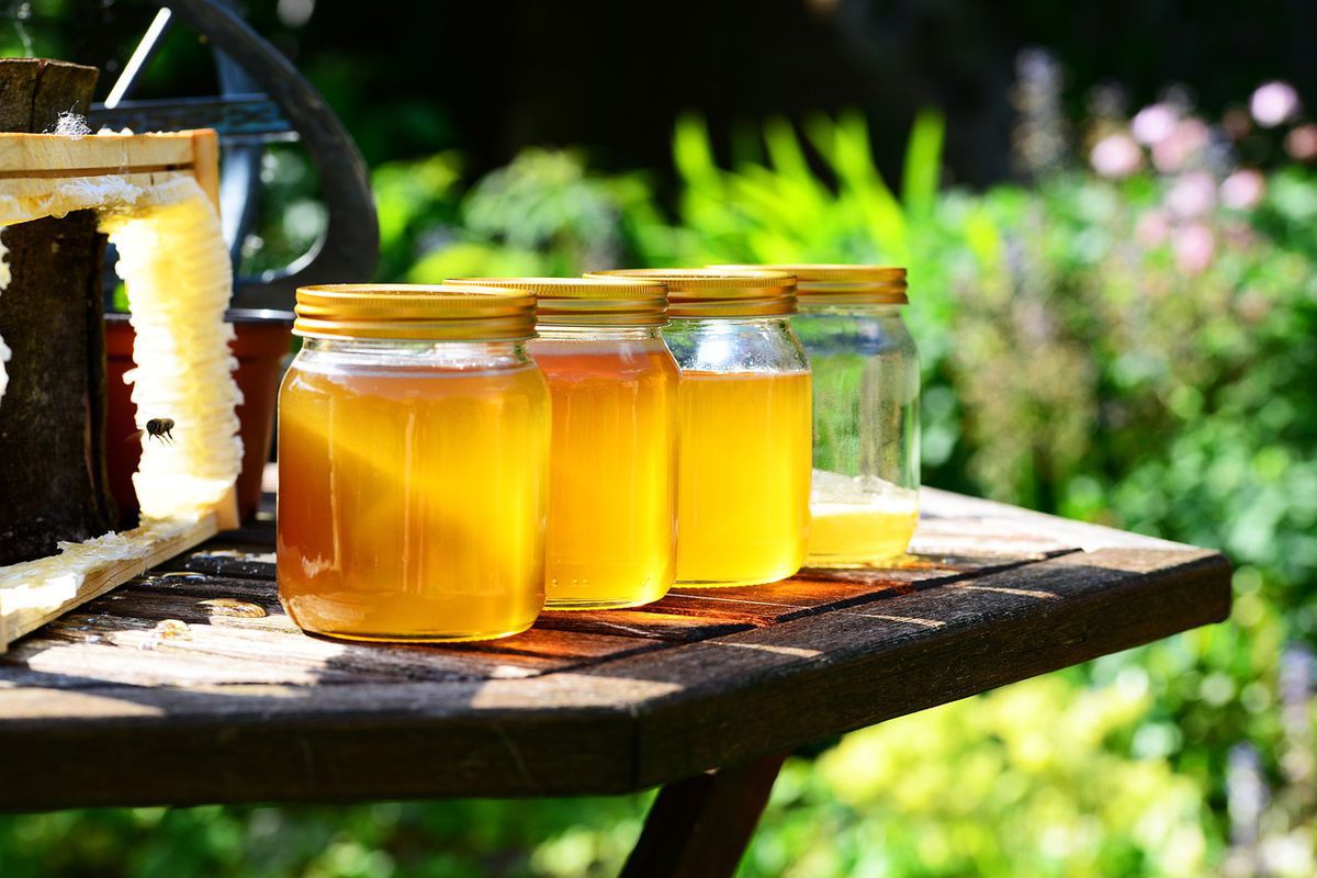 14 серпня — Медовий Спас: історія, традиції та прикмети свята. Сьогодні потрібно з'їсти хоча б трохи меду.