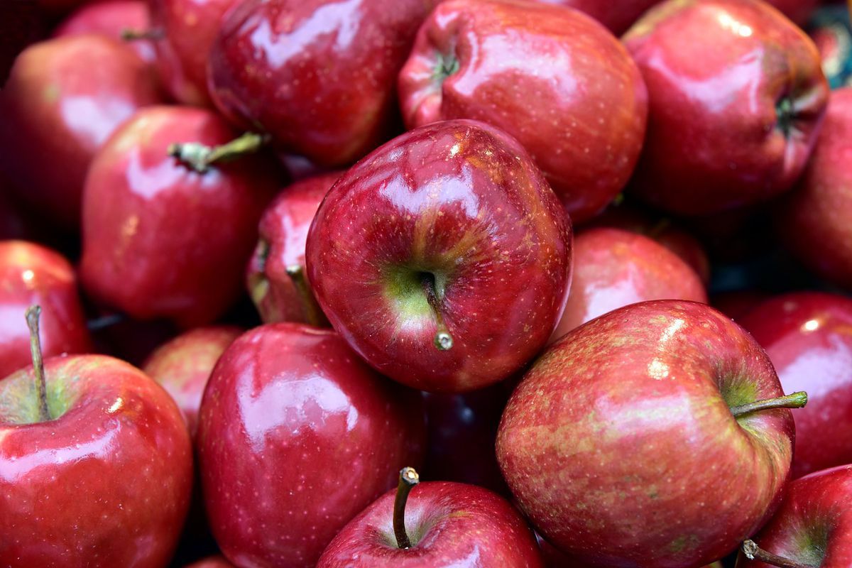 Медики розповіли, чому не можна їсти забагато яблук. Чому переїдання яблук шкідливе для здоров'я.
