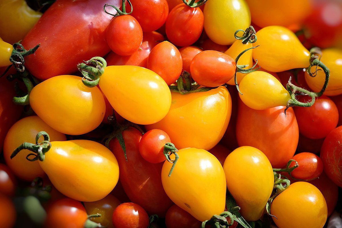 Чому краще не зберігати помідори в холодильнику. Найкраще місце для зберігання томатів.