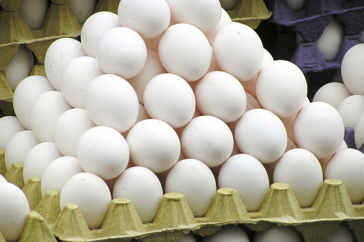 Пити сирі яйця: можна чи ні. Та що безпечніше — білок чи жовток.