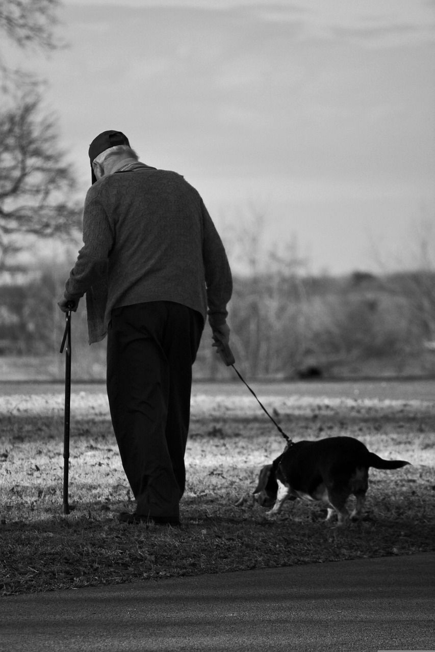 Як правильно вибирати собаку для літньої людини. Літнім людям корисно проводити час з собакою, бо вихованець робить позитивний вплив на їхнє здоров'я і продовжує життя.
