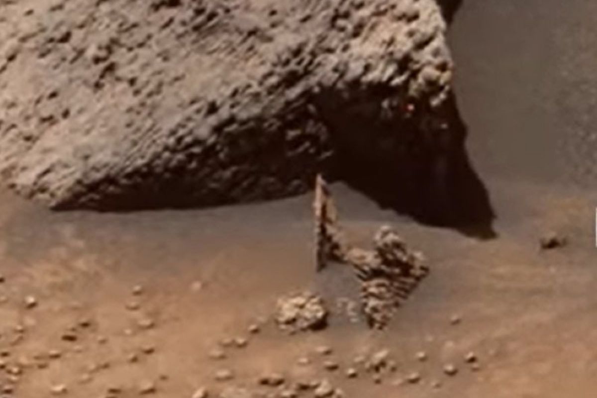 На Марсі уфолог виявив муміфіковану фігуру зі щитом. Можливо інопланетянин від когось захищався.