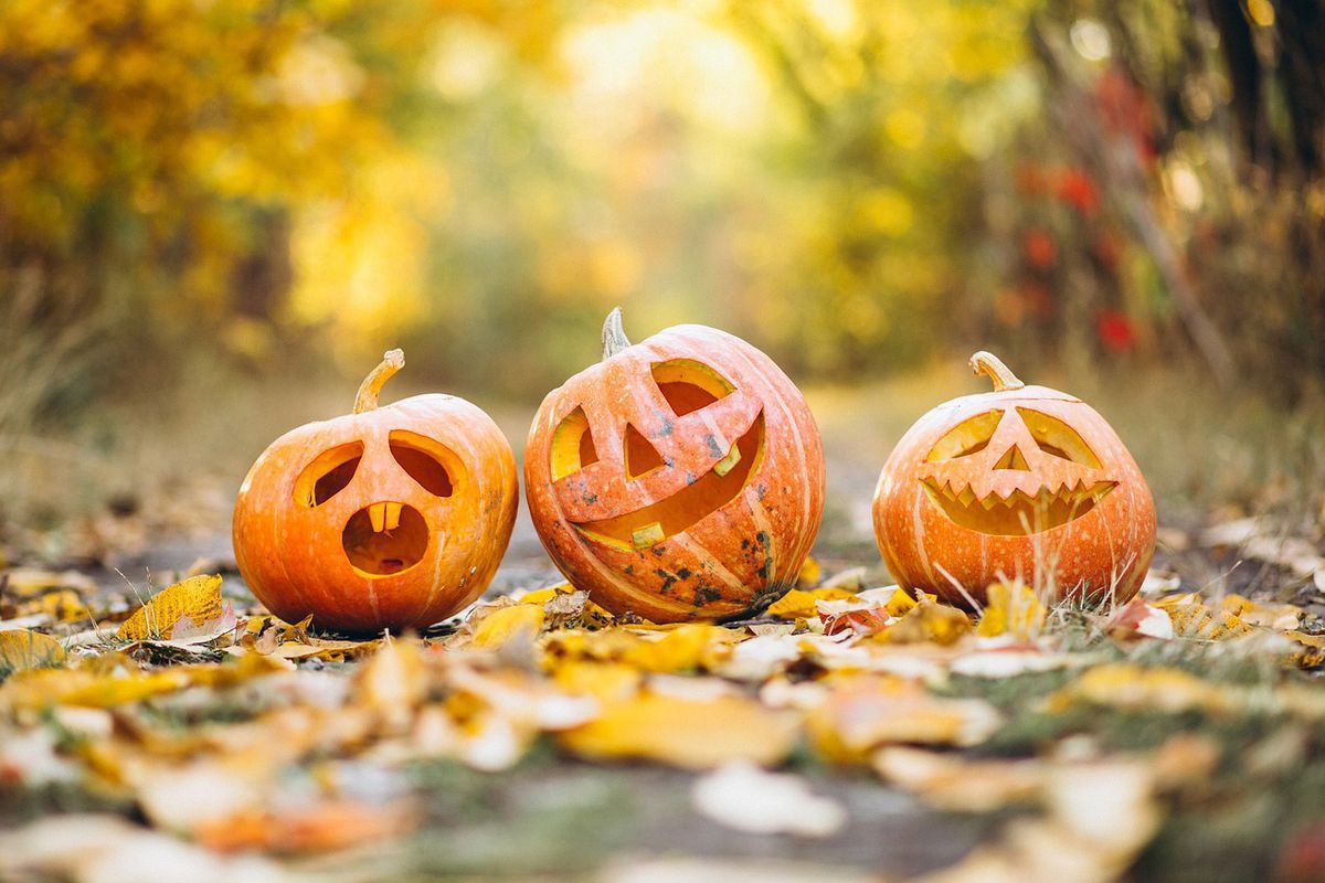 31 жовтня – Хелловін: історія, традиції, обряди та прикмети свята. Сьогодні не слід хвалитися чимось, інакше його можна втратити.