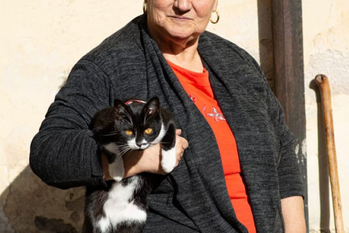 В невеличкому італійському місті кішка стала мером тварин. Тварина вже давно стала символом містечка, в якому живе близько 900 осіб.