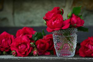 Символ біди чи кохання: чому прикмети забороняють тримати вдома троянди