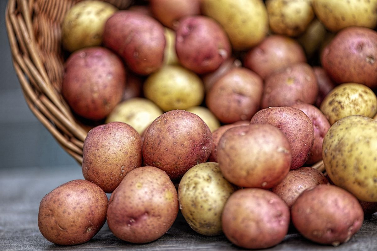 Вчені виявили, що вживання картоплі не сприяє ожирінню і діабету. Несподівані висновки про користь для здоров'я картоплі.