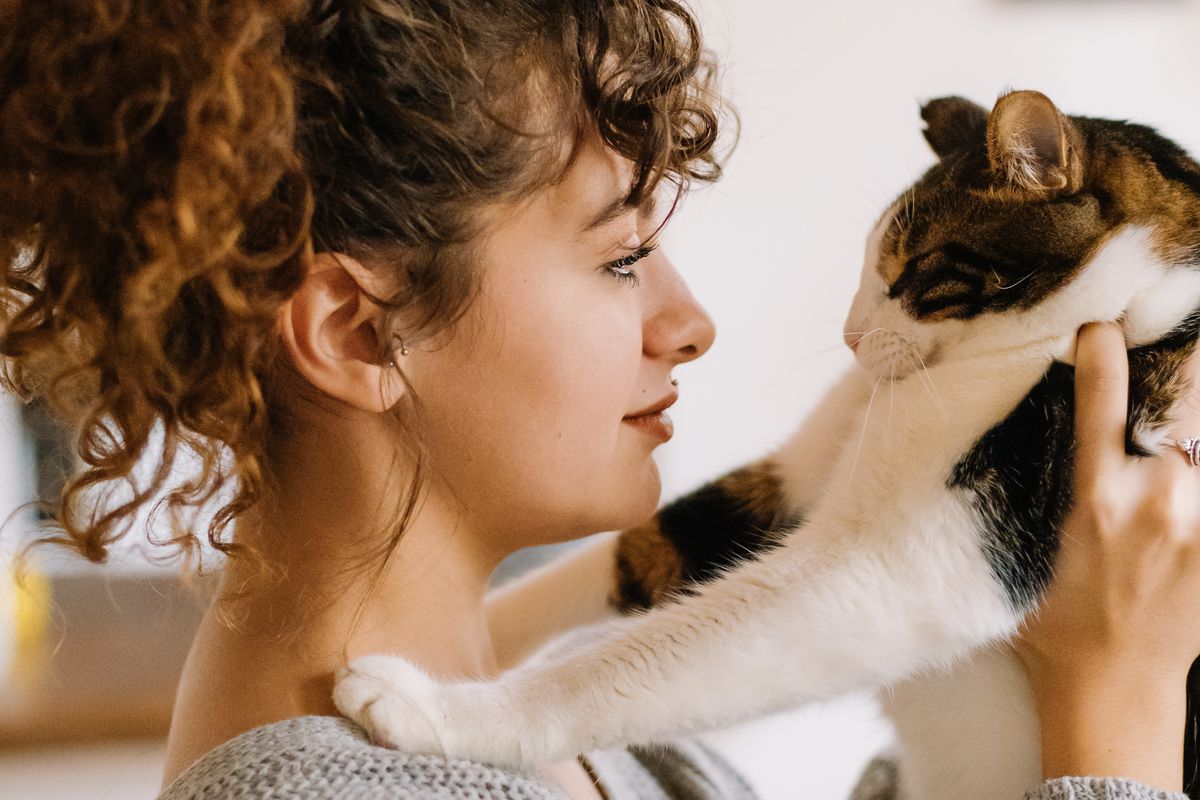 Основні причини, чому кішки можуть нюхати ваш рот. Ви про них нізащо не здогадаєтеся.