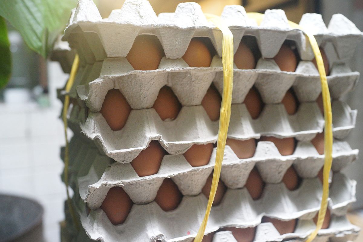 Не викидайте лотки з-під яєць: знадобляться в побуті та на дачі. Як з користю можна використати паперові упаковки від яєць.