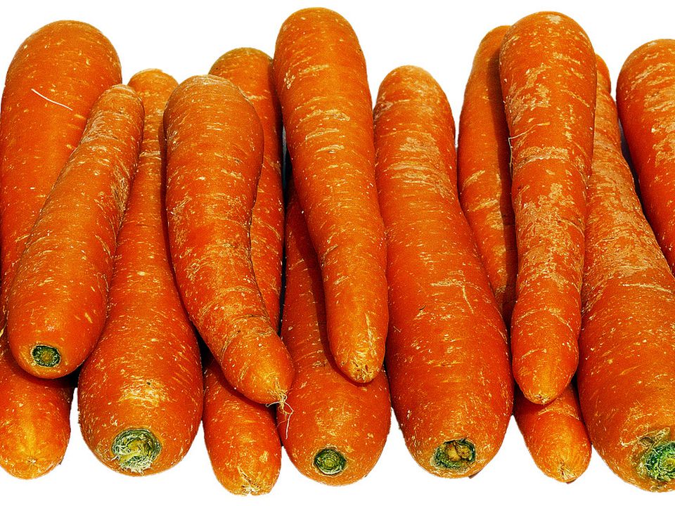 У парі з цією рослиною морква може зберігатися чи не вічність. Як правильно зберігати моркву.