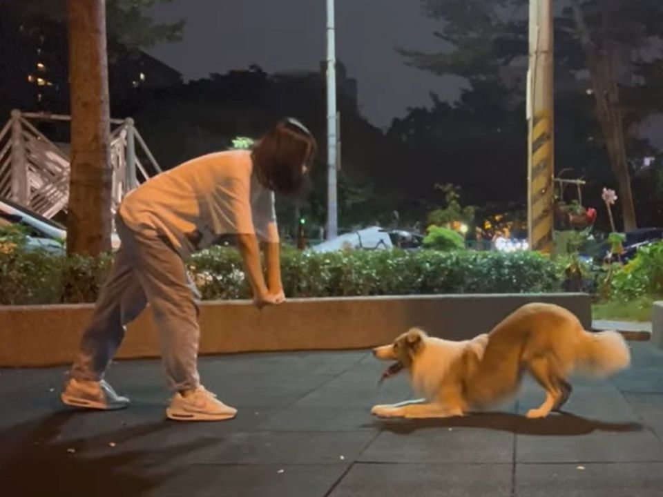 Запальні танці собаки та його господині потрапили на відео. Веселий дует.