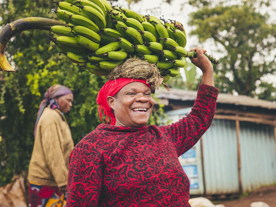 Кілька вагомих причин їсти банани щодня. Банани — популярний фрукт, який приносить величезну користь для здоров'я. А ще стиглі банани — це відмінний спосіб задовольнити свою пристрасть до солодкого.