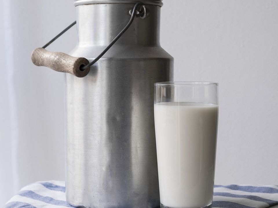 Хитрість ринкових бабусь: що додати до домашнього молока, щоб воно не скисло. Простоїть навіть тиждень.