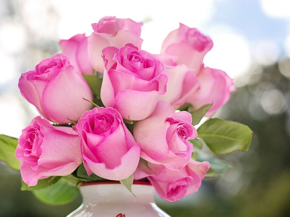 Навіщо треба напувати троянди горілкою, і як продовжити життя букету квітів. Прості рекомендації від флористів.