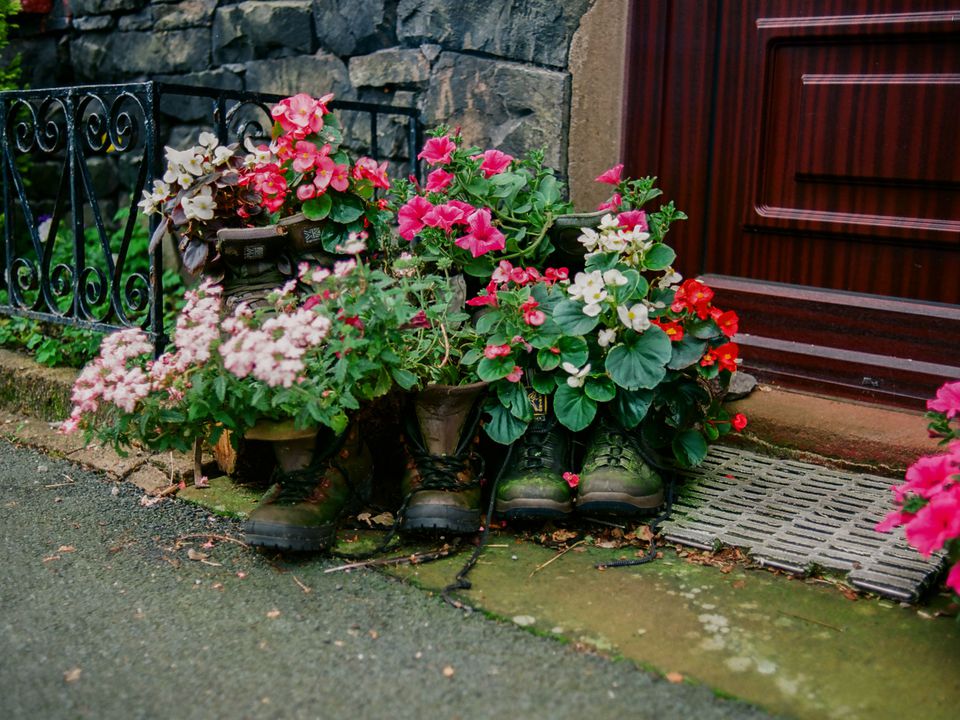 Кімнатні рослини на вулиці влітку: правила безпеки, яких потрібно дотримуватися. Як врятувати ваші квіти від загибелі.