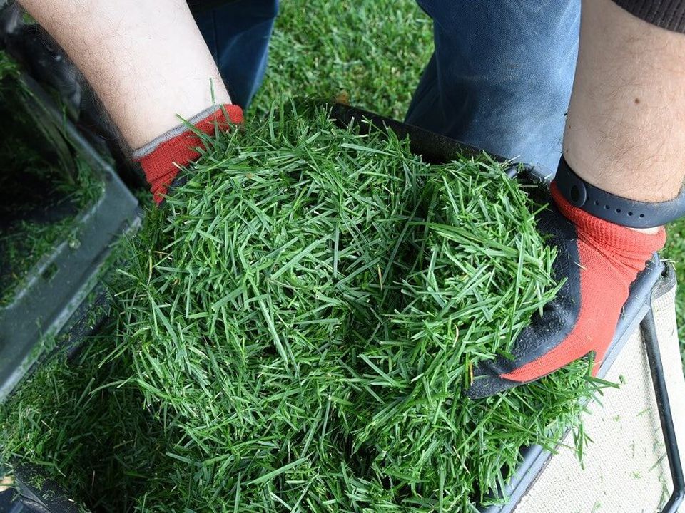 Скошена трава – цінний матеріал, ніколи не викидайте її. Навесні та влітку трава на ділянці росте з божевільною швидкістю: щотижня доводиться висмикувати зелень та косити газони.