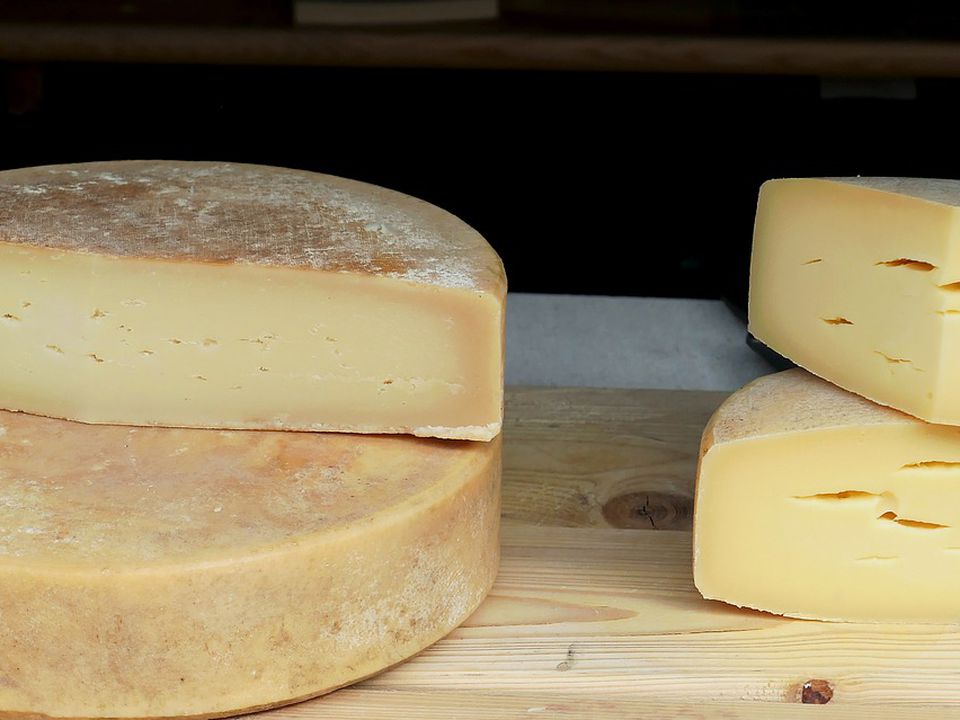Як зберігати сир у холодильнику, щоб уникнути швидкого псування дорого продукту. Прості, але перевірені способи.