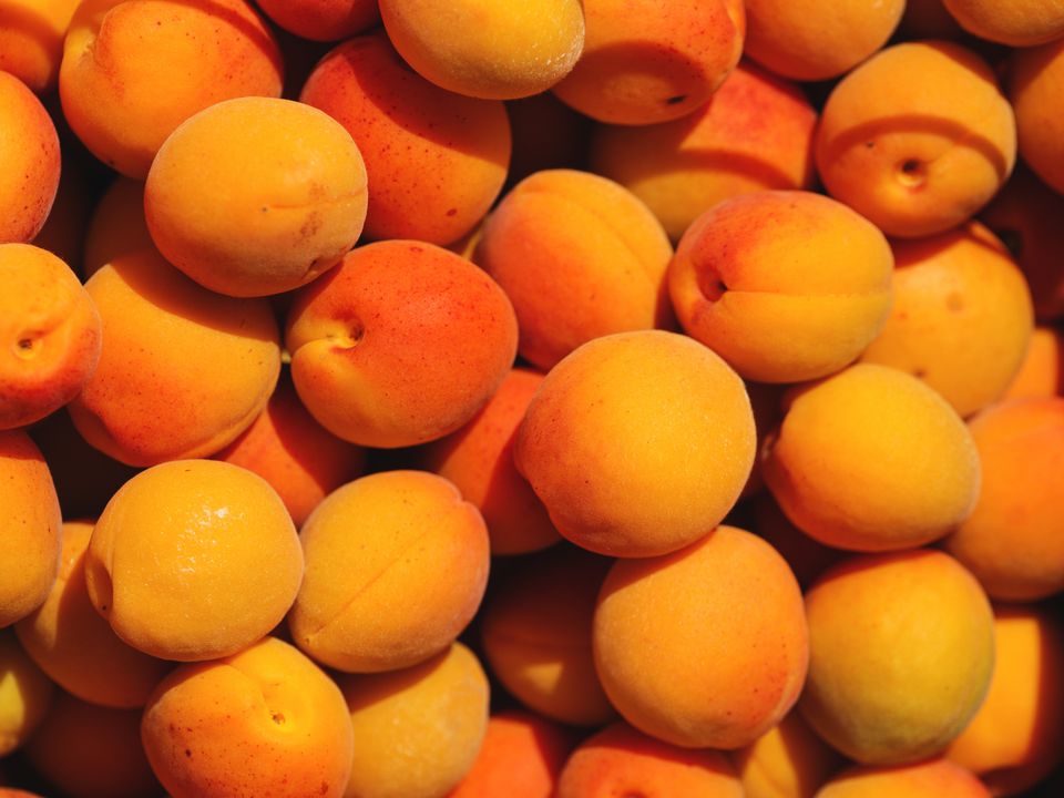 Лікарі розповіли, кому варто відмовитися від вживання абрикосів. Фахівці попередили про наявність отрути в абрикосових кісточках.