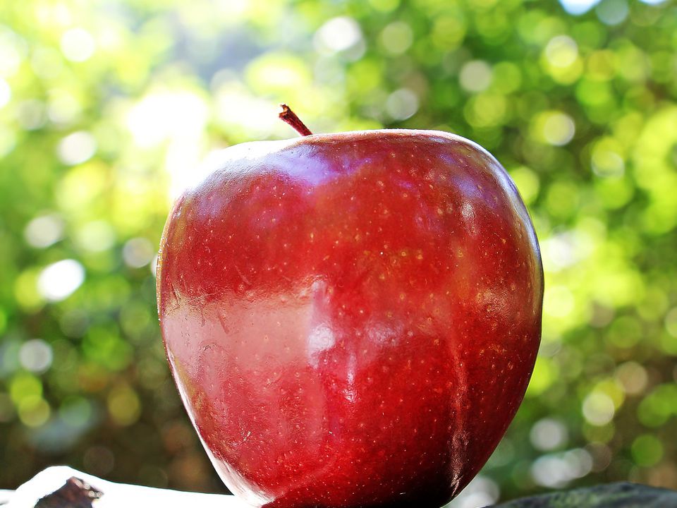 Чому людям за 60 років необхідно щодня з'їдати по яблуку: названо 3 причини. Яблука неймовірно корисні для людей похилого віку.